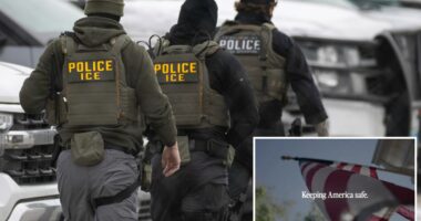 Pro-ICE ads reminding Americans of âdangerous illegal immigrantsâ Biden let in to run in swing states ahead of State of the UnionÂ 